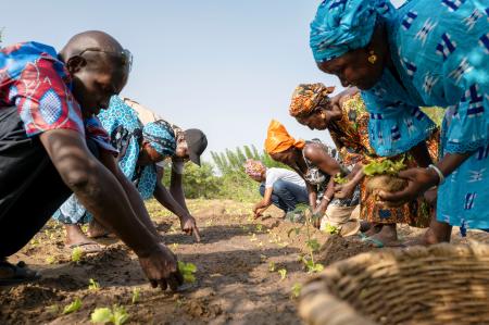 　アフリカで進む再生型農業（（Ｃ）Ｔｏｄｄ　Ｂｒｏｗｎ／ＵＮＥＰ）