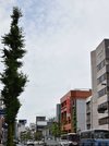 雨が上がった岐阜市内＝９日午前９時２５分、同市内