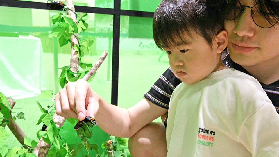 森を再現した部屋でクワガタに触れる親子＝岐阜市正木中、マーサ２１