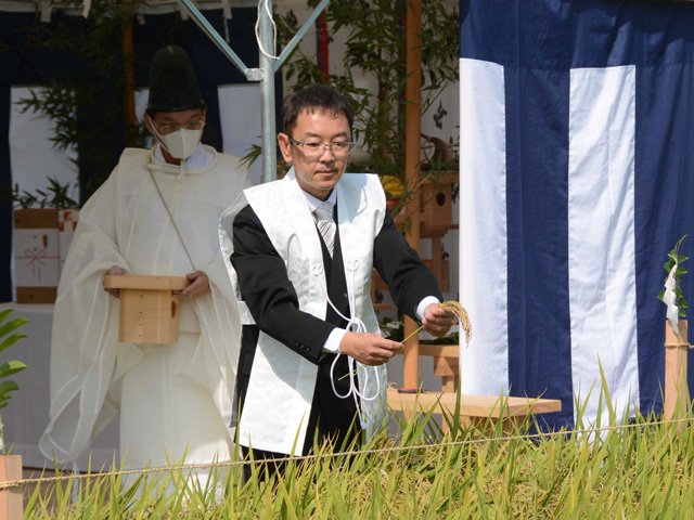 抜穂祭で稲穂を丁寧に抜き取る安藤重治さん＝本巣市軽海