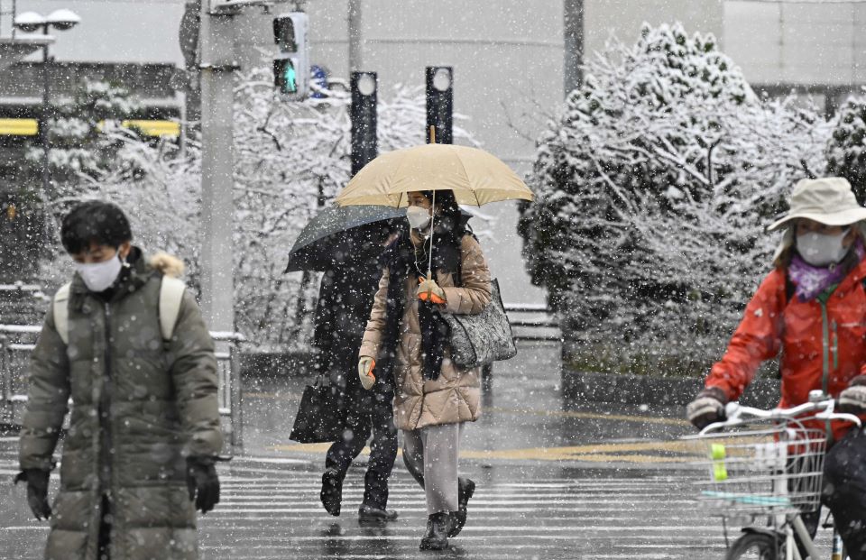 今季初積雪で、名鉄岐阜駅近くの街路樹にも雪が降り積もった＝２７日午前９時３７分、岐阜市神田町