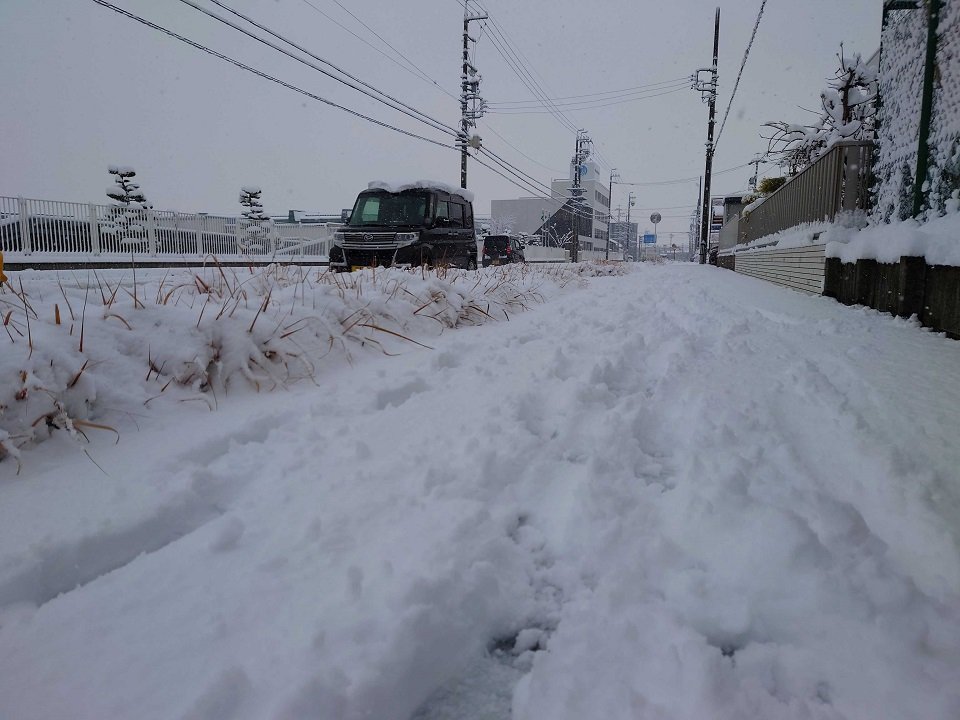 １０センチ以上の積雪となった羽島市内＝２４日午前