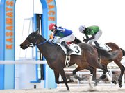１着でゴールするオマタセシマシタ（３）。騎乗した渡辺竜也騎手はガッツポーズ＝羽島郡笠松町若葉町、笠松競馬場