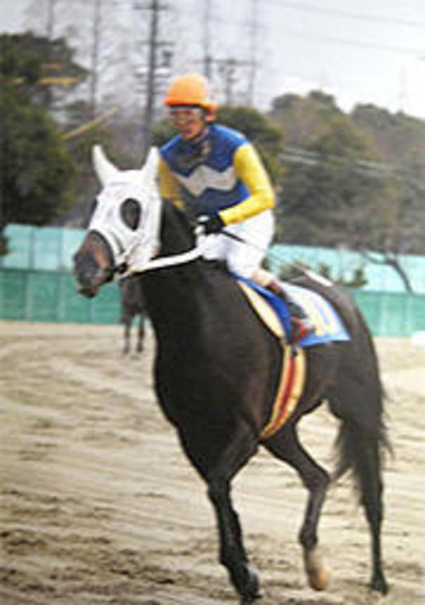 ＮＡＲグランプリ1999「２歳最優秀馬」のレジェンドハンターと安藤勝己騎手（笠松競馬提供）