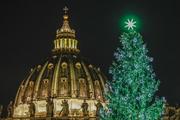 　サンピエトロ広場で点灯されたクリスマスツリー＝１５日、バチカン（ゲッティ＝共同）
