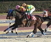 「名古屋でら馬スプリント」に挑むハイジャ（８）と佐藤友則騎手