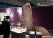 　国立科学博物館の特別展「生きものたちの性」で展示されたミナミゾウアザラシの剥製。雄の体重は雌の３倍以上にもなる＝３０日午後、東京・上野