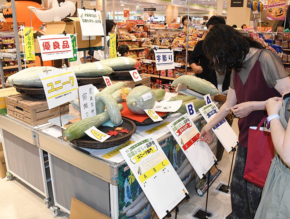 宿儺かぼちゃの「品評会」で投票する買い物客＝各務原市那加萱場町、イオンスタイル各務原インター