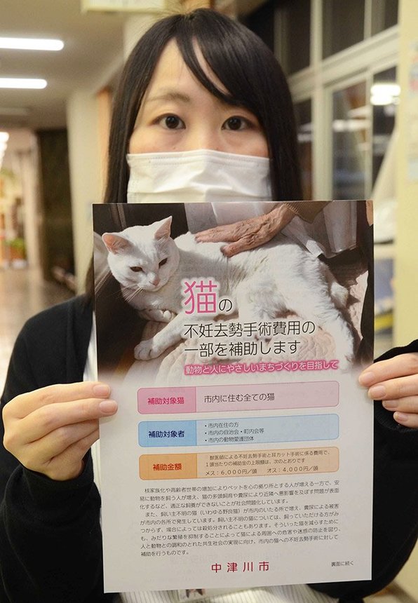 猫の不妊去勢手術を支援する補助金の活用を呼びかけるチラシ＝中津川市役所