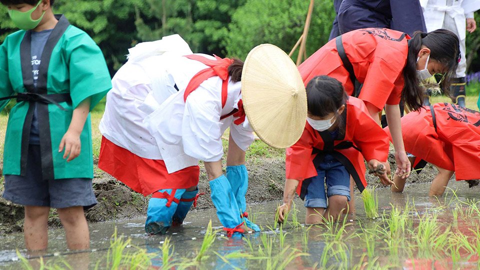 丁寧に田植えをする早乙女姿の女性ら＝恵那市長島町