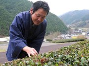 お茶の新商品を売り出した地域おこし協力隊員の野村啓さん＝加茂郡東白川村五加