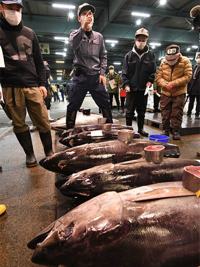 威勢のいい競り声が響いたマグロの初競り＝５日午前５時２分、岐阜市茜部新所、市中央卸売市場