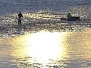 夕暮れの中、瀬張りの仕掛けの前で落ち鮎を狙う漁協組合員＝１８日午後４時５６分、岐阜市の長良川