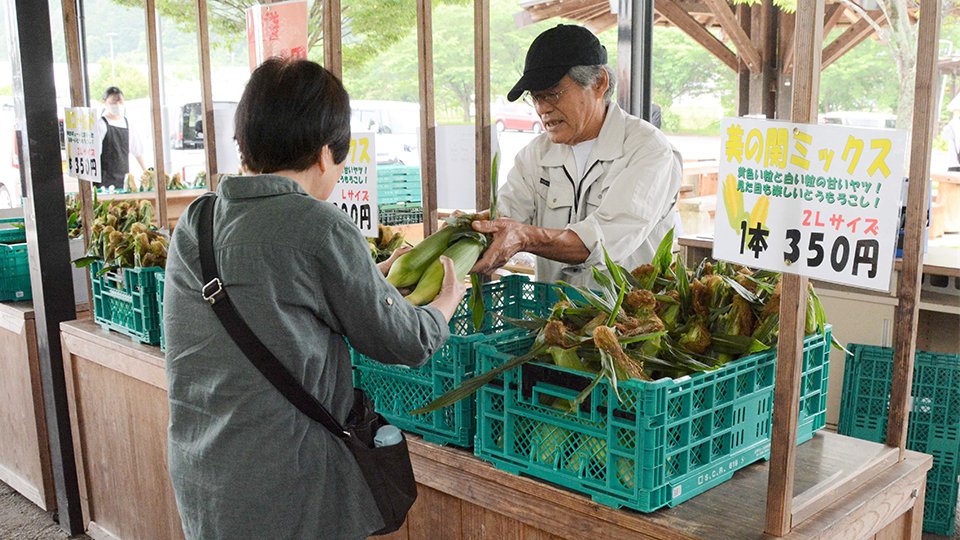 大きく育ったトウモロコシを手に取る買い物客ら＝関市大杉、ふる里農園美の関
