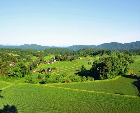 　たたら製鉄で用いた水路を再利用した棚田＝島根県奥出雲地域（奥出雲町提供）