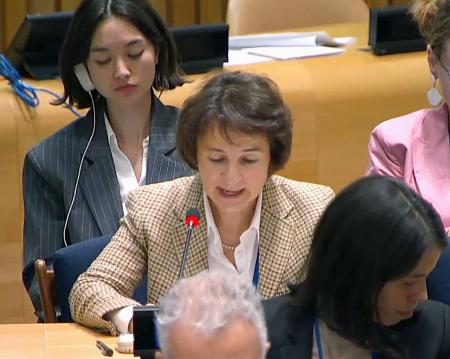 　７日、ＮＰＴ再検討会議の第２委員会で声明を発表するフランスの代表（ＵＮ　Ｗｅｂ　ＴＶより、共同）