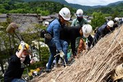 ５年ぶりに結で行われたかやぶき屋根のふき替え＝１３日午後、大野郡白川村荻町、明善寺庫裏