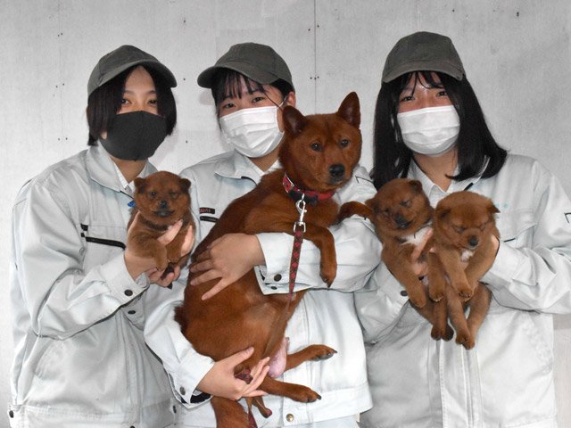 １１月に生まれた美濃柴犬の子犬と母犬を抱く美濃柴犬研究班の生徒たち＝養老郡養老町祖父江、大垣養老高校