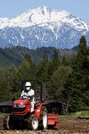 笠ケ岳に現れた馬の雪形＝高山市上宝町蔵柱