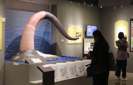 　国立科学博物館の特別展「生きものたちの性」＝３０日午後、東京・上野