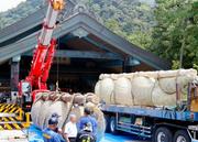 　出雲大社神楽殿の大しめ縄のかけ替え作業＝２１日午前、島根県出雲市