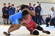 県高校新人大会のレスリング