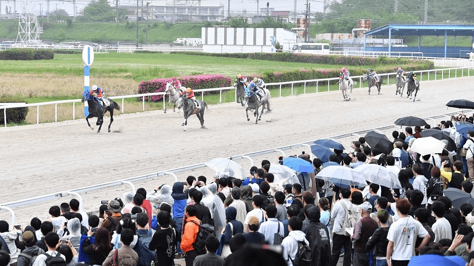 大勢のファンが見守る中、熱戦が繰り広げられたウマ娘シンデレラグレイ賞＝岐阜県笠松町、笠松競馬場
