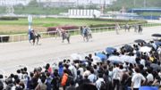 大勢のファンが見守る中、熱戦が繰り広げられたウマ娘シンデレラグレイ賞＝岐阜県笠松町、笠松競馬場