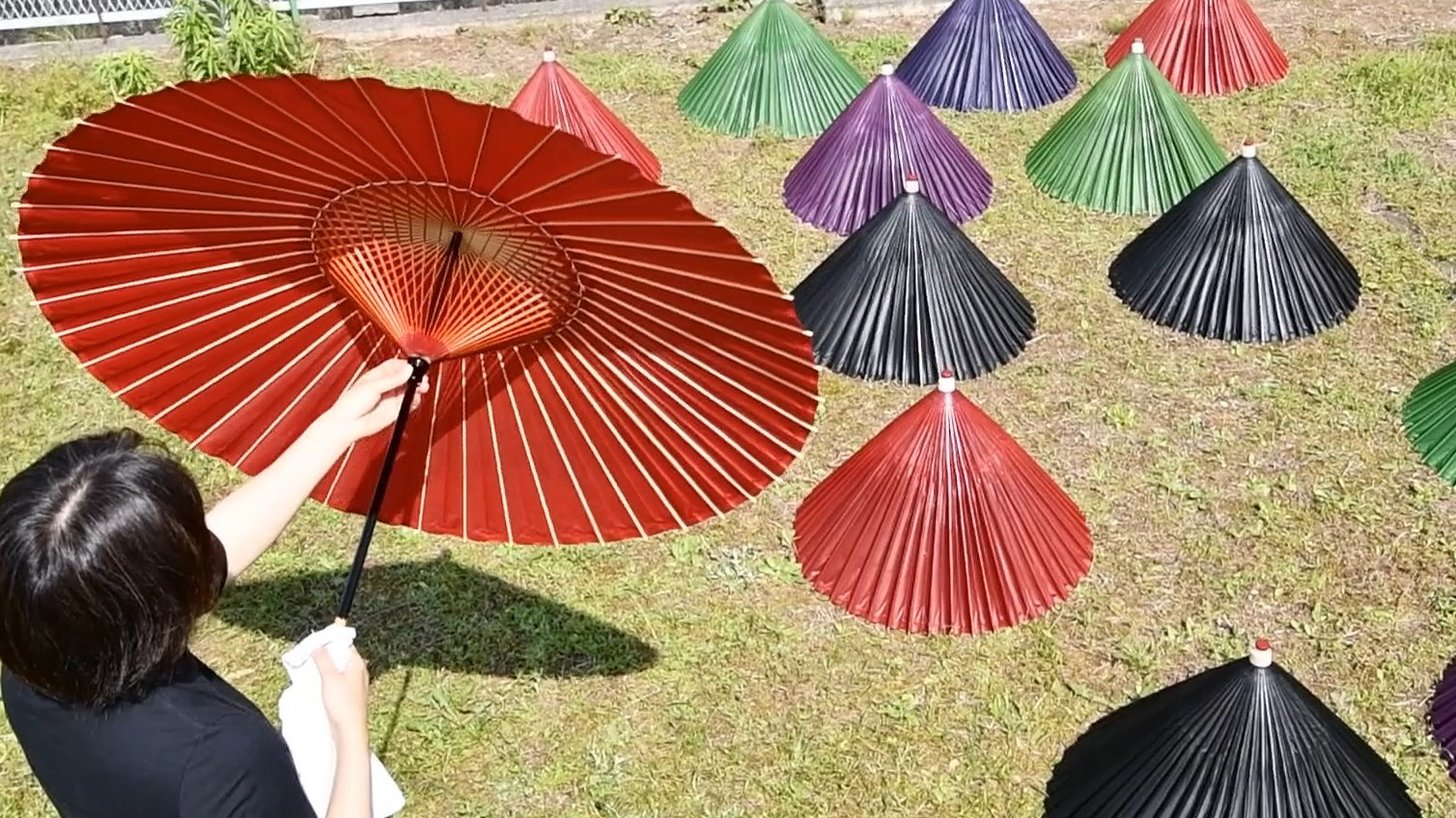 天日で干される色とりどりの岐阜和傘＝７日午前９時１分、岐阜市内