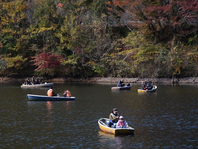 湖面にボートを浮かべ、紅葉の景色とともに釣りを楽しむ人たち＝山県市長滝、伊自良湖