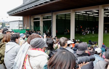 　ＷＢＣ日本代表の強化合宿を訪れ、ブルペンで練習する選手を見守るファン＝１７日、宮崎市