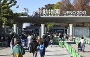 　多くの人でにぎわう上野動物園の正門＝１１月、東京都台東区