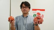 機能性表示食品に認定され、販売が始まった夏秋トマト「いとしろ白山姫」＝県庁
