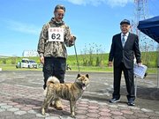 審査を受ける犬＝安八郡神戸町西座倉、河川敷パターゴルフ場