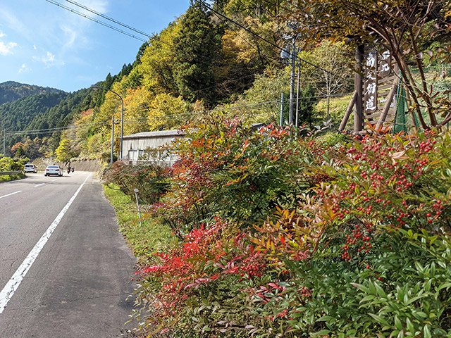 郡上市八幡町那比地区の南天街道（国道２５６号）