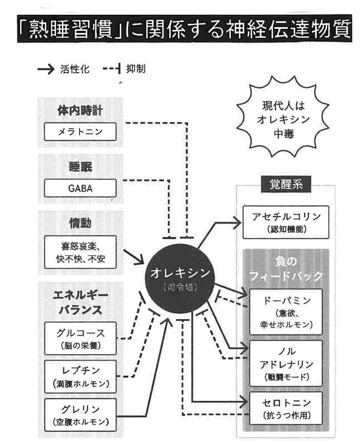 奥村歩著「脳のゴミを洗い流す『熟睡習慣』」（すばる舎）より引用