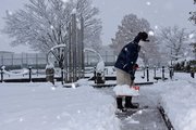 公園で雪かきに追われるスタッフ＝２４日午前、岐阜市野一色、野一色公園