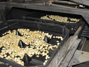 前後左右に揺れる焼き網の上で、きれいな焼き色がつくあられ＝揖斐郡揖斐川町谷汲名礼、だるま堂製菓谷汲工場