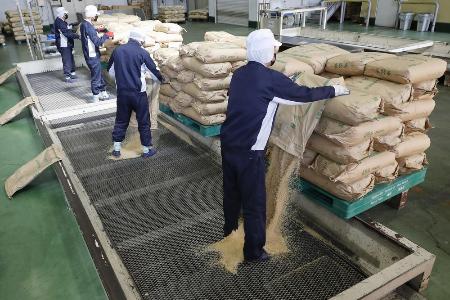 　精米工場に搬入された備蓄米＝３月、埼玉県内