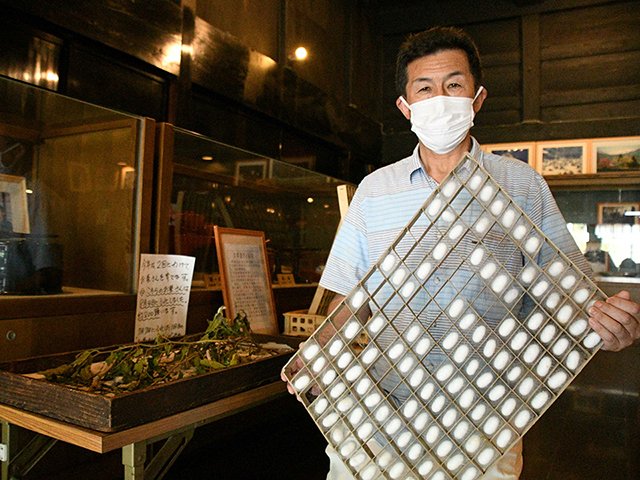 回転蔟の中で繭をつくっている蚕＝大野郡白川村荻町、和田家