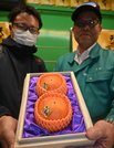 昨年に続いて１００万円で競り落とされた「天下人」＝愛知県豊山町、名古屋市中央卸売市場北部市場