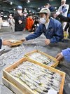 次々と競り落とされる初物の天然鮎＝１１日午前６時２分、岐阜市茜部新所、市中央卸売市場
