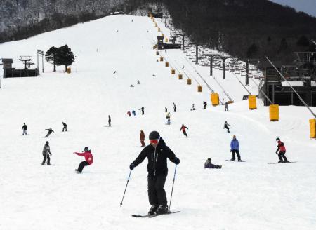 　スキーやスノーボードを楽しむ人たち＝２０２４年１２月、鳥取県大山町