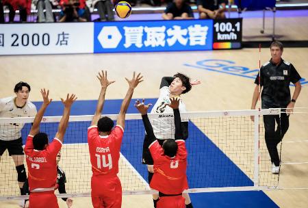 　１次リーグのオマーン戦でスパイクを狙う石川＝北九州市立総合体育館（Ｖｏｌｌｅｙｂａｌｌ　Ｗｏｒｌｄ提供）