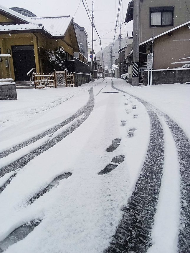 ８日午前、岐阜市内