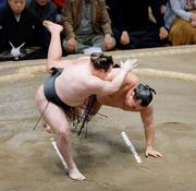 　安青錦（左）が上手投げで豊昇龍を破る＝両国国技館