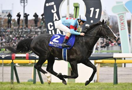 　２０２３年のジャパンカップを制したイクイノックス＝東京競馬場