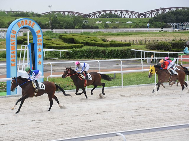 再開初日の第１レースで疾走する競走馬＝８日午前１１時３３分、羽島郡笠松町、笠松競馬場