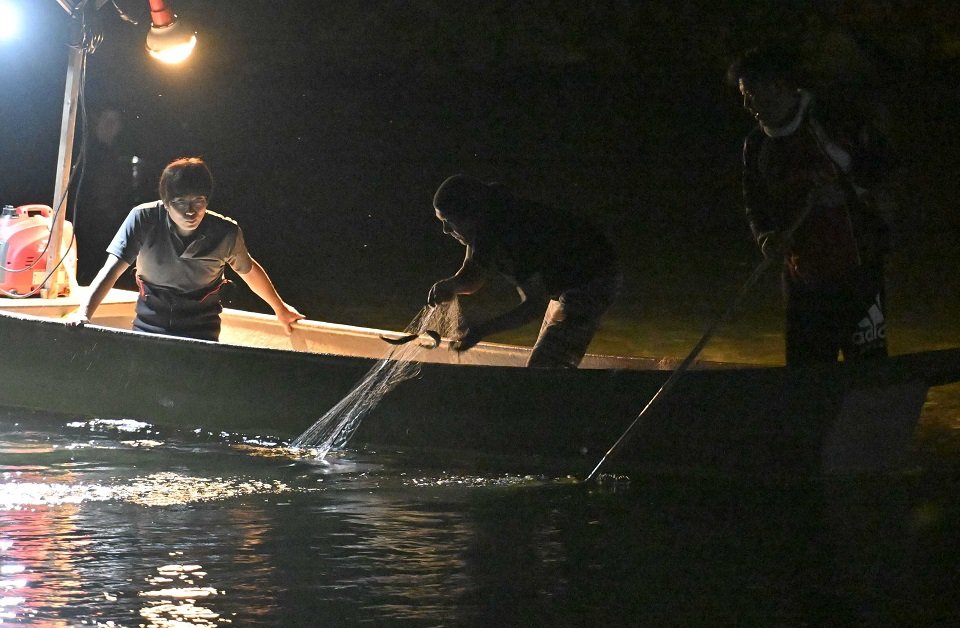 萬サの舟で夜川網漁をする和田政美さん（右端）ら＝５日、郡上市八幡町稲成、長良川