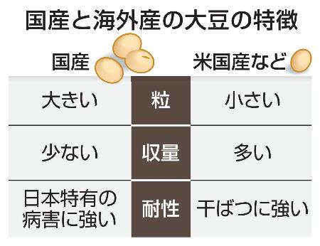　国産と海外産の大豆の特徴